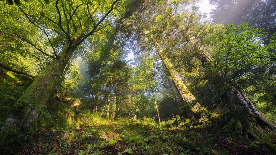 ���������