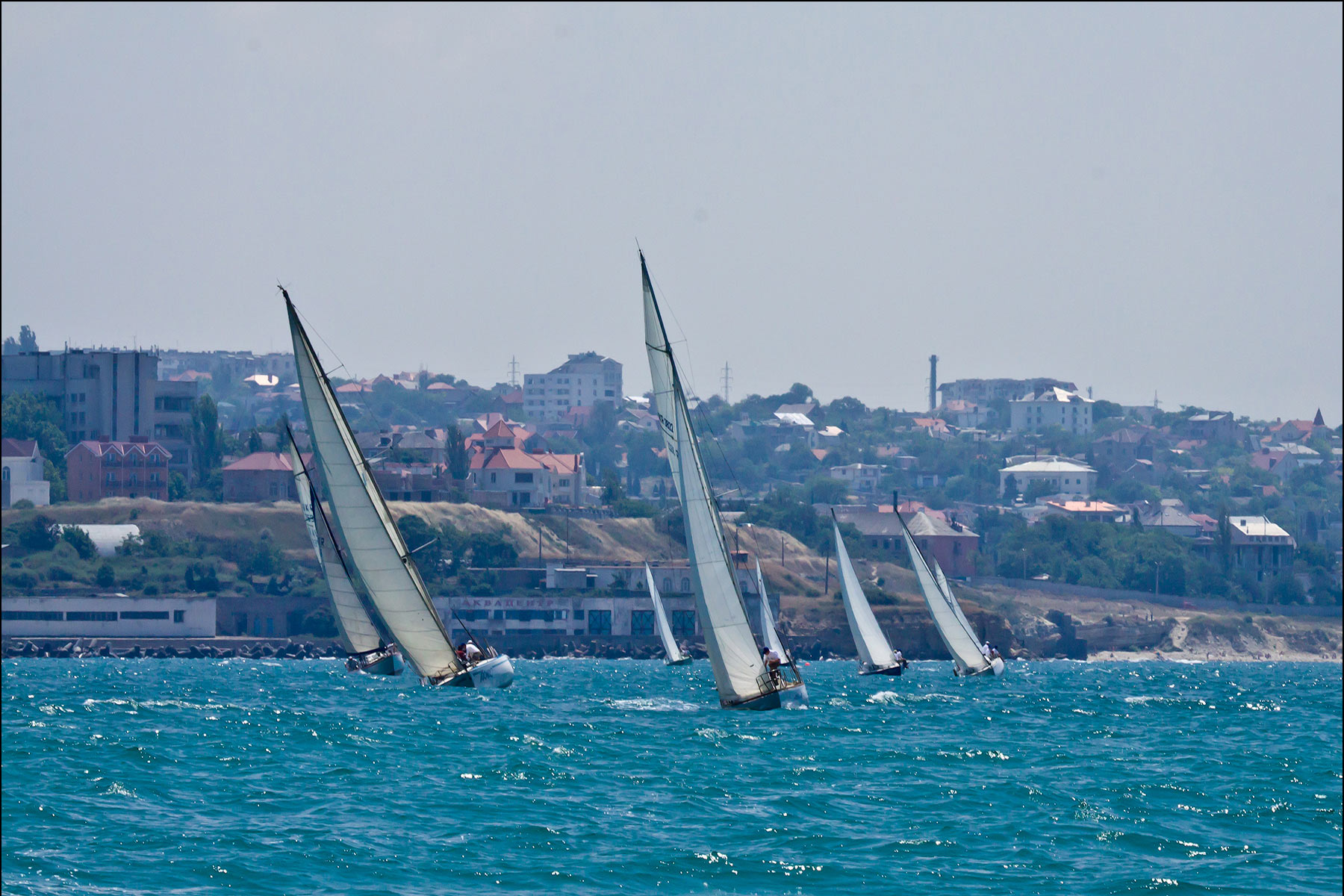 ���������