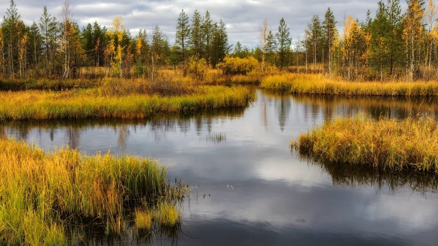 ���������