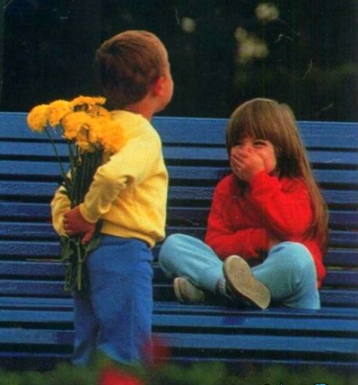 ���������