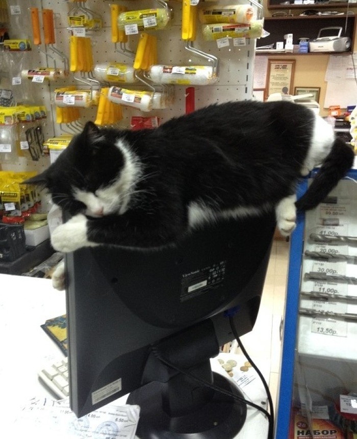 ���������