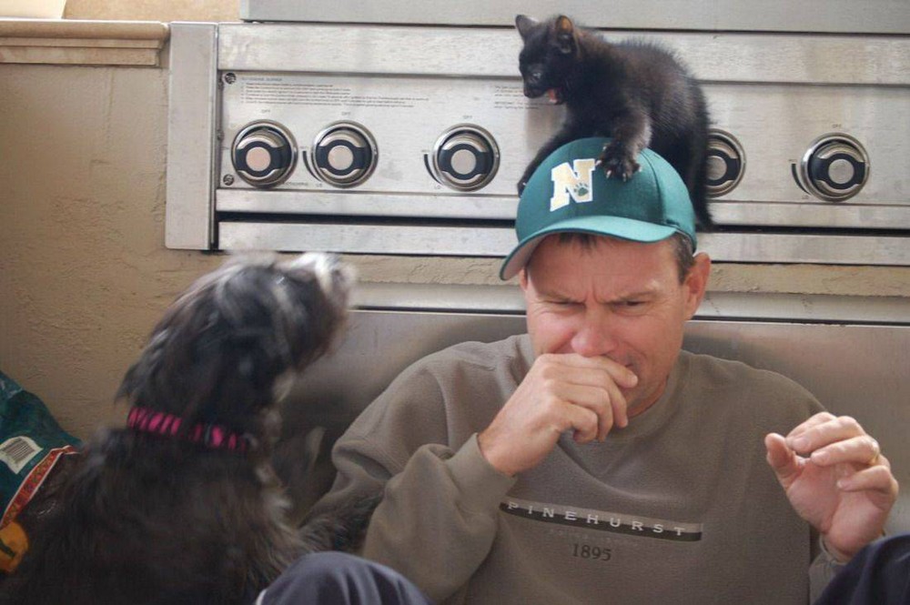 ���������