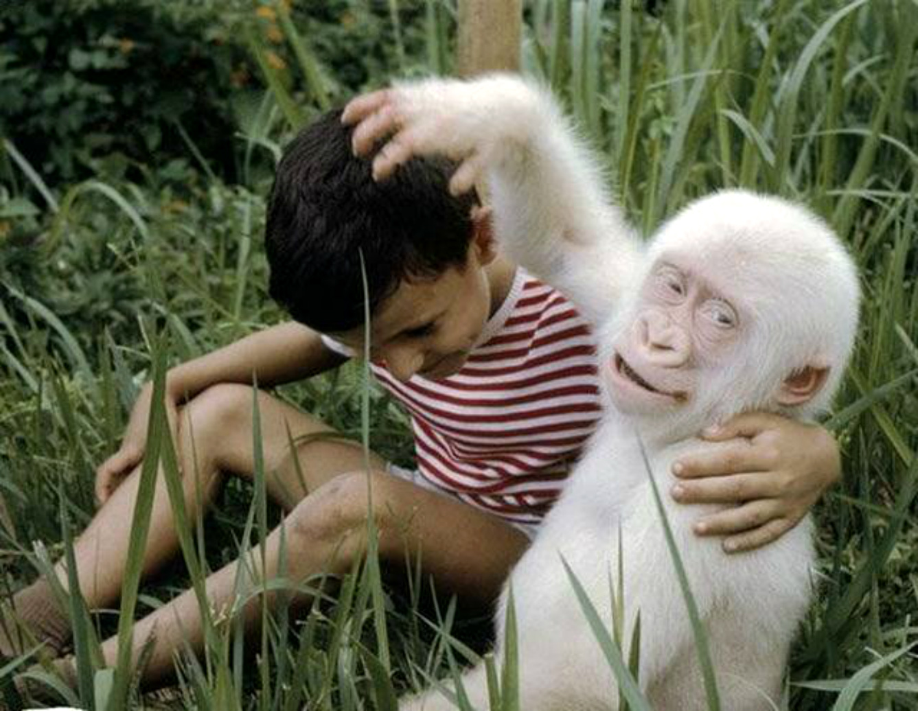 ���������