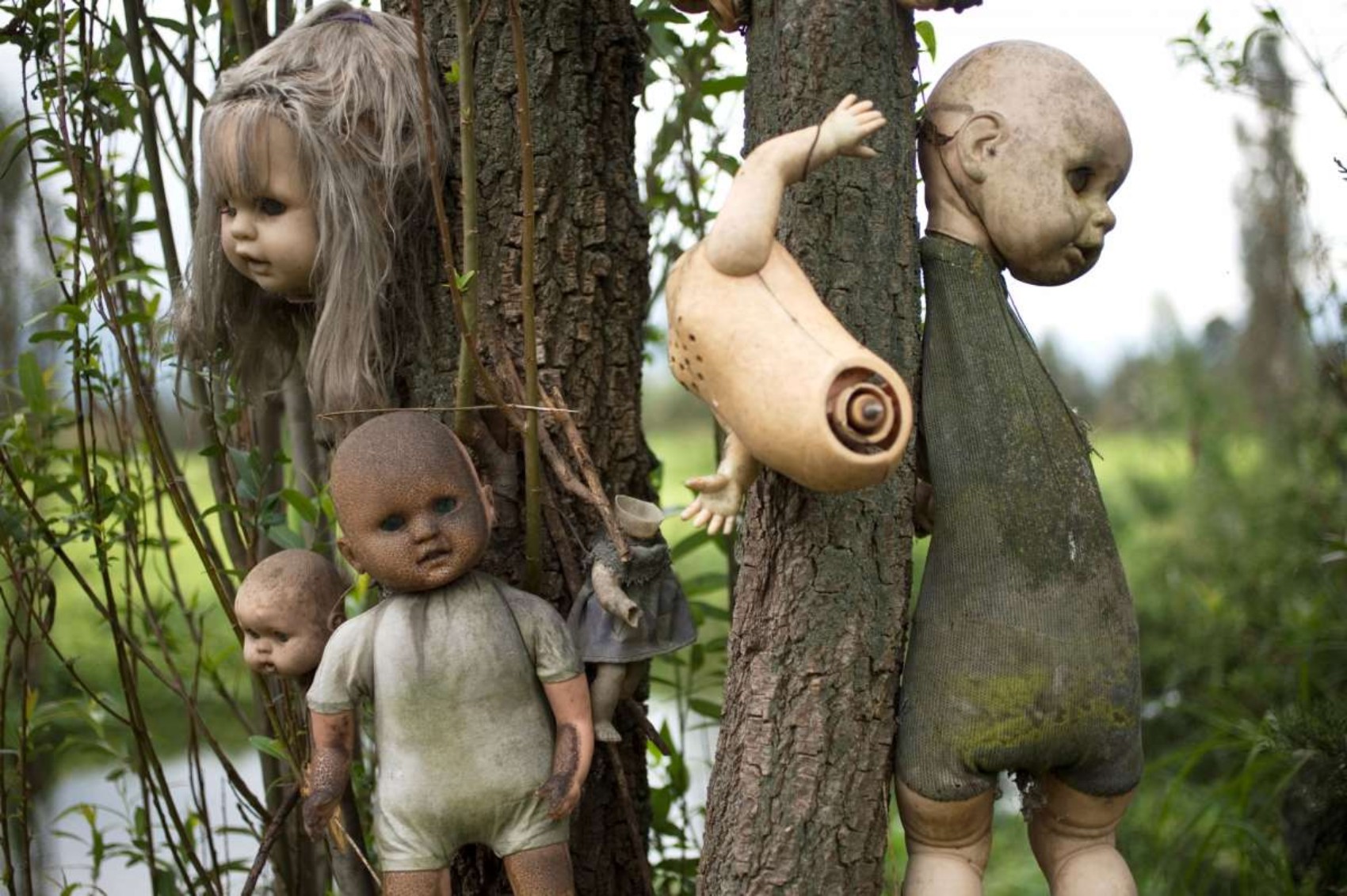 ���������