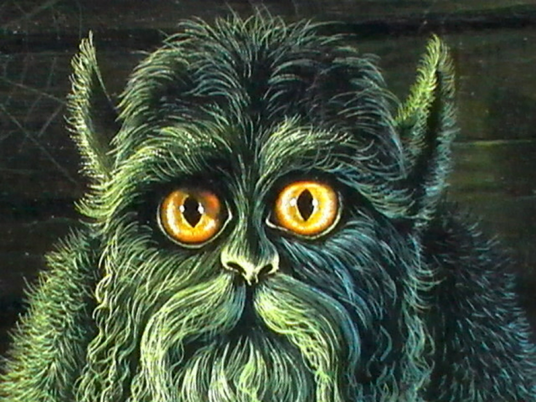 ���������