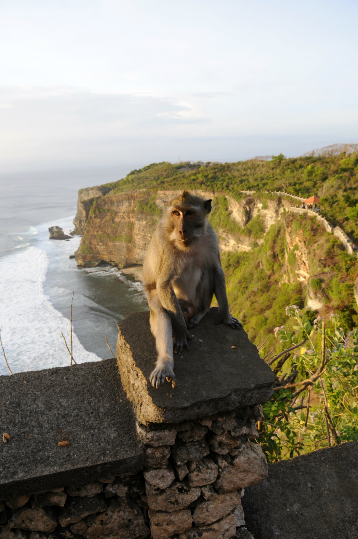 ���������