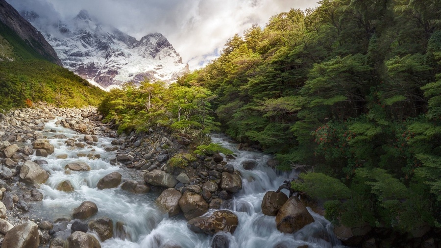 ���������