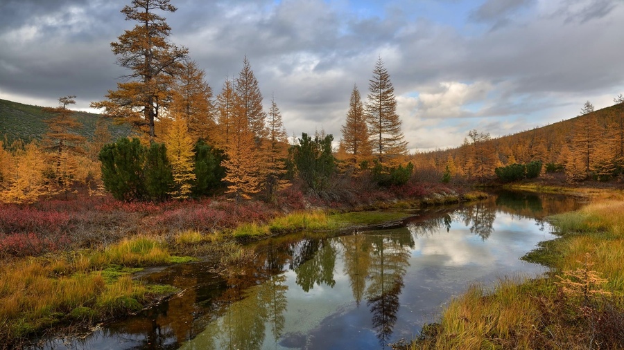 ���������