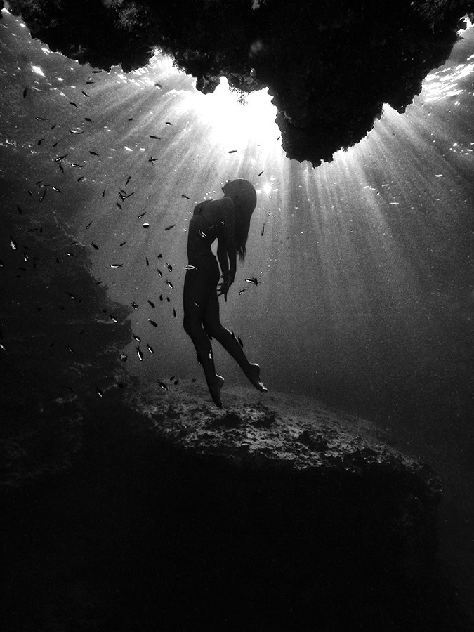 ���������