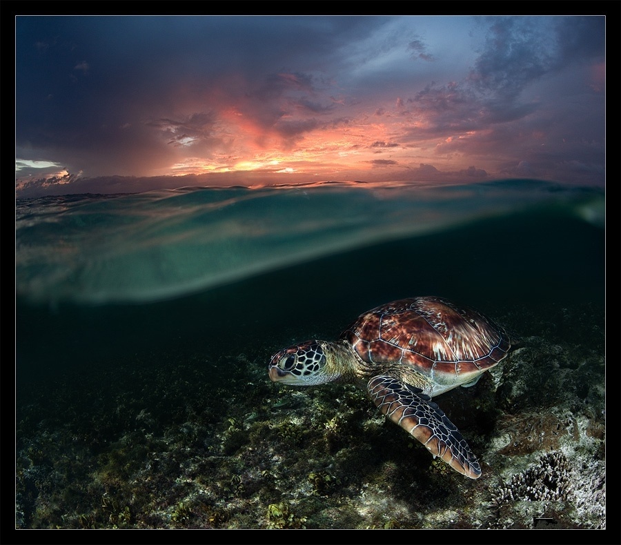 ���������