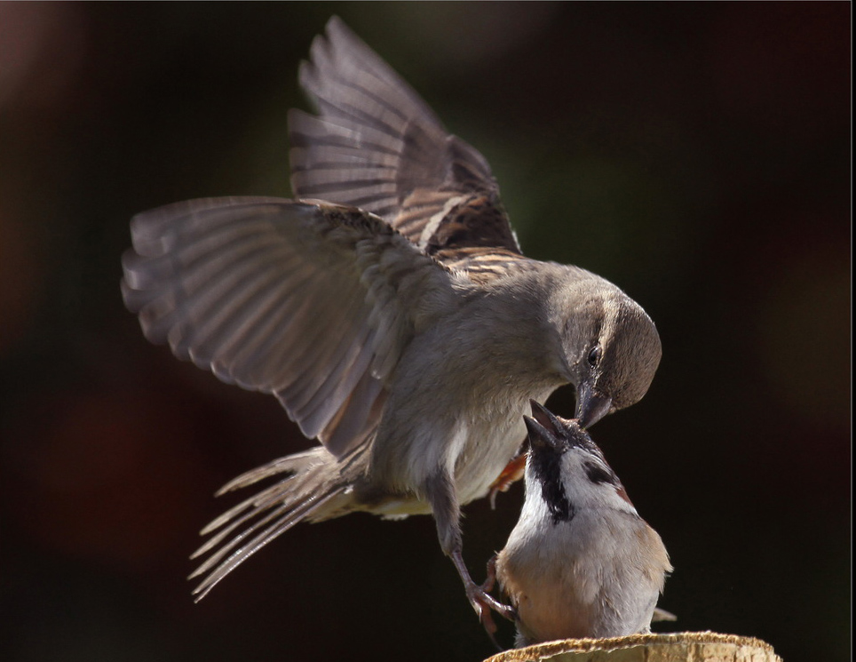 ���������