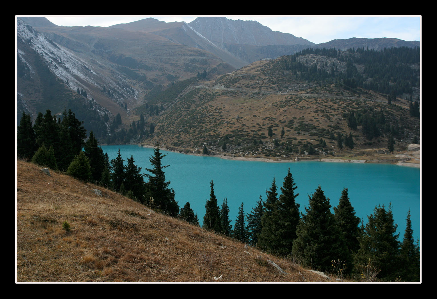 ���������