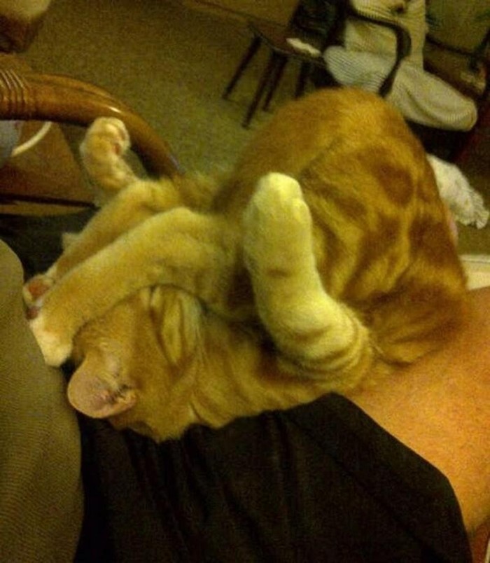 ���������