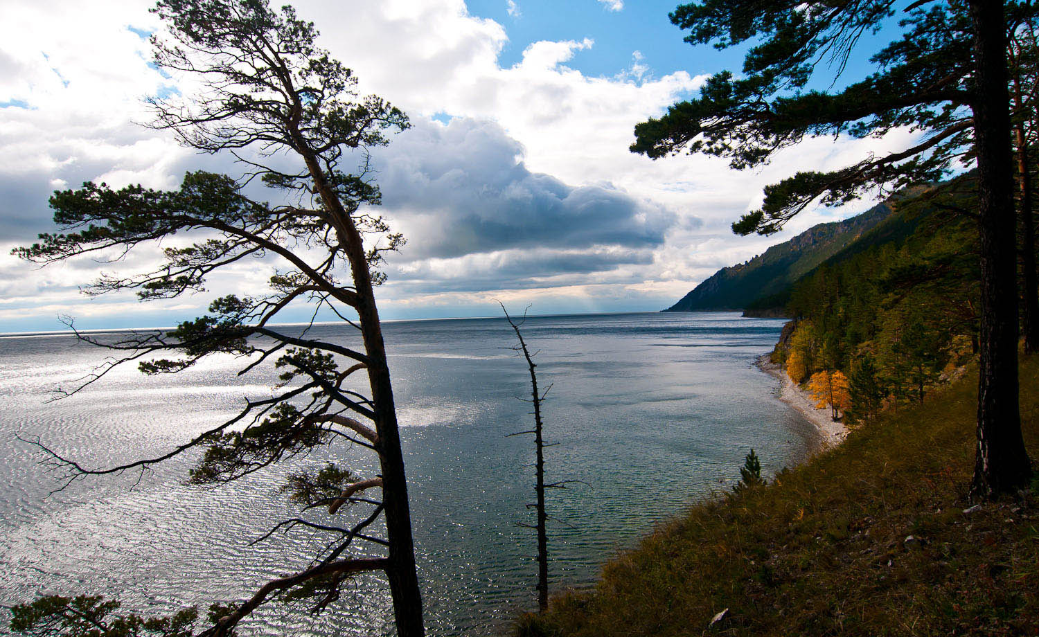 ���������