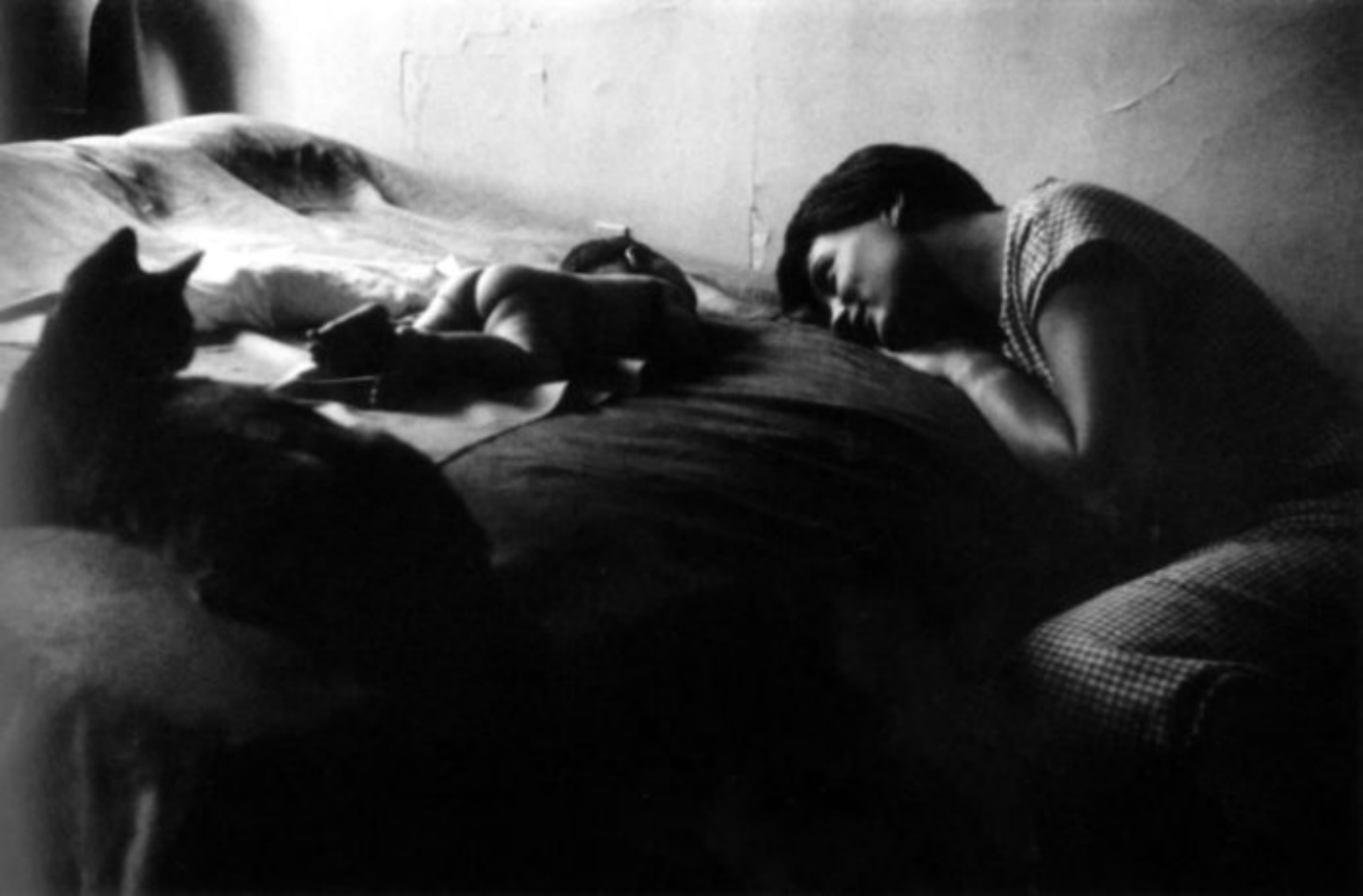 ���������