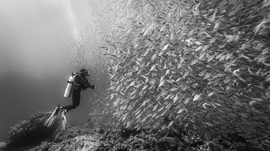 ���������