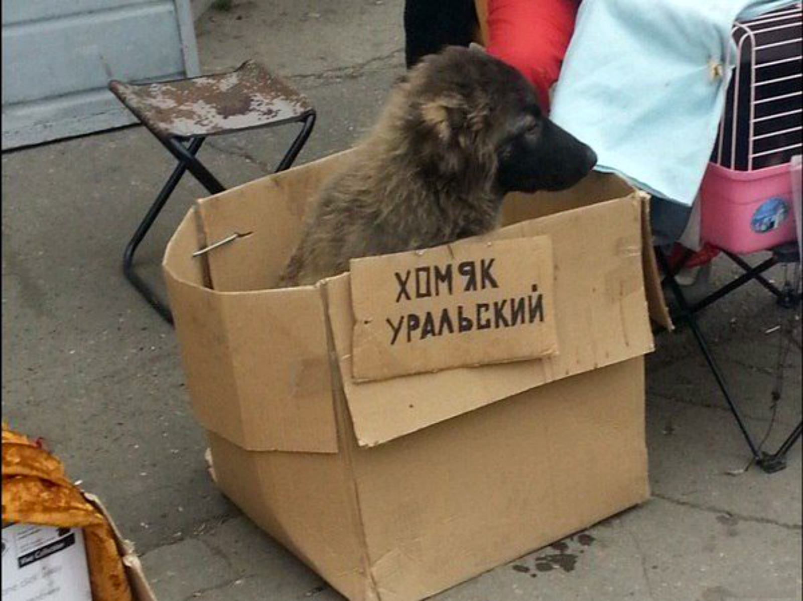 ���������