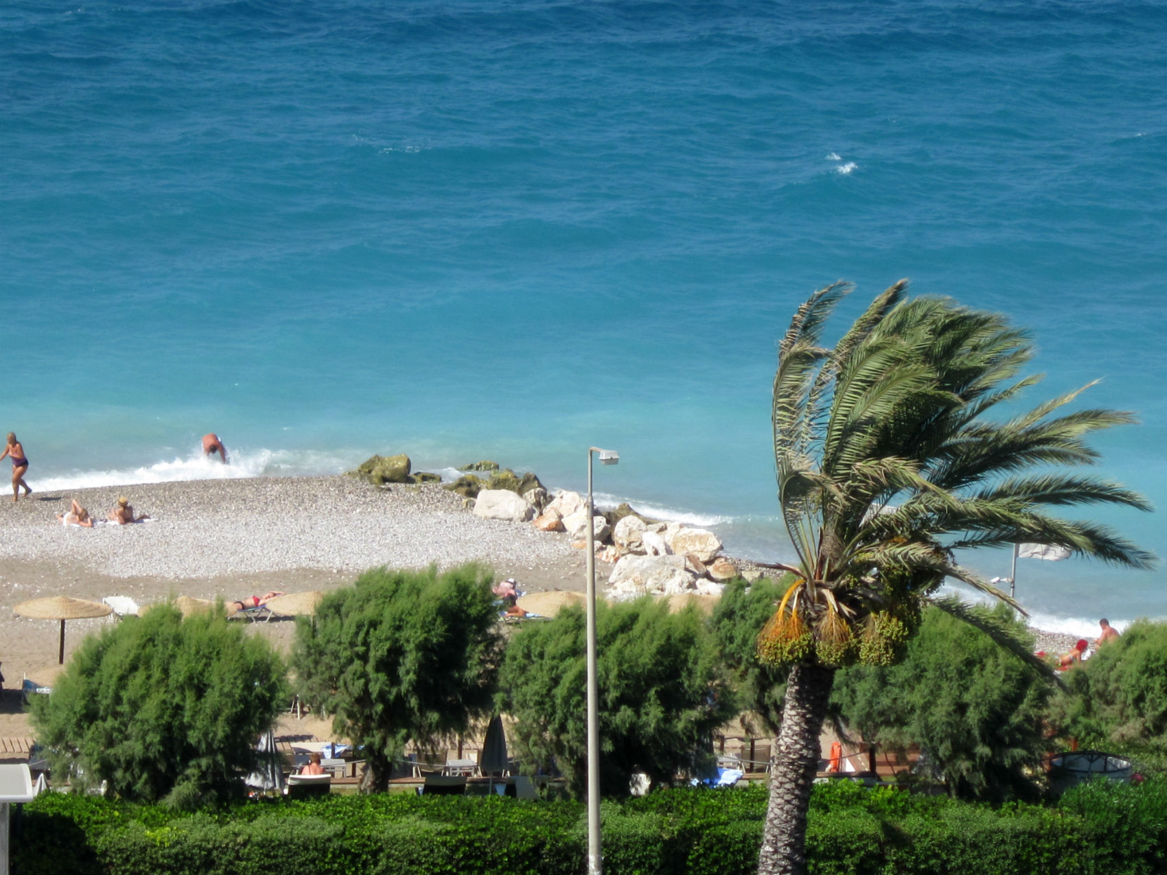 ���������