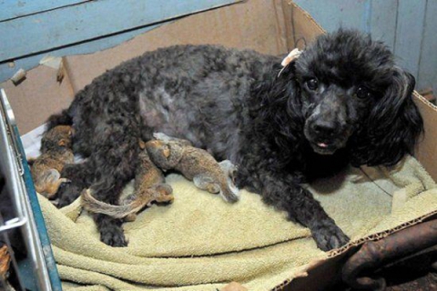 ���������