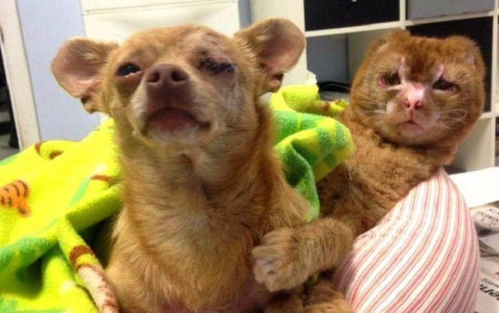 ���������