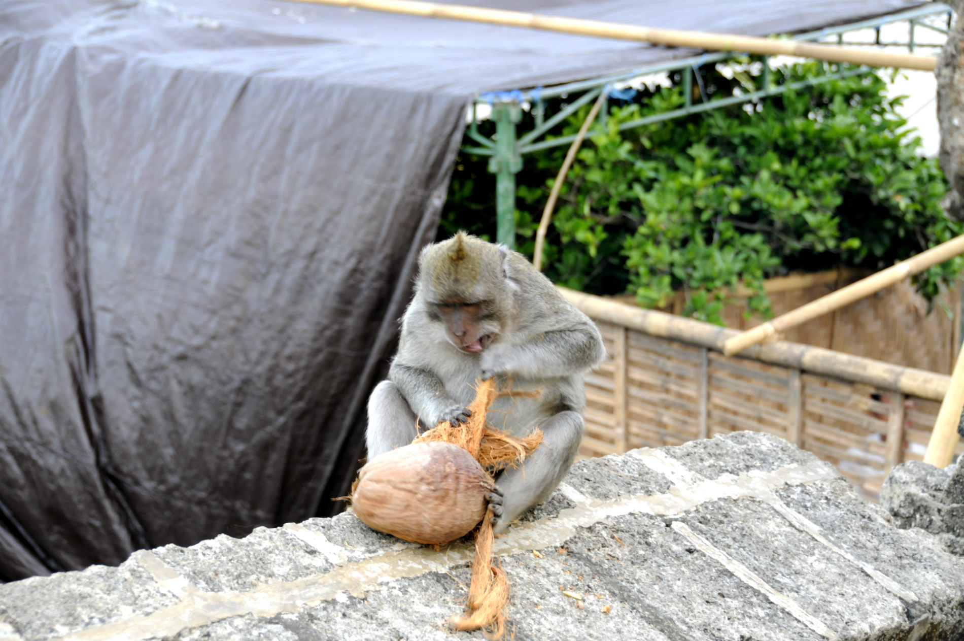 ���������