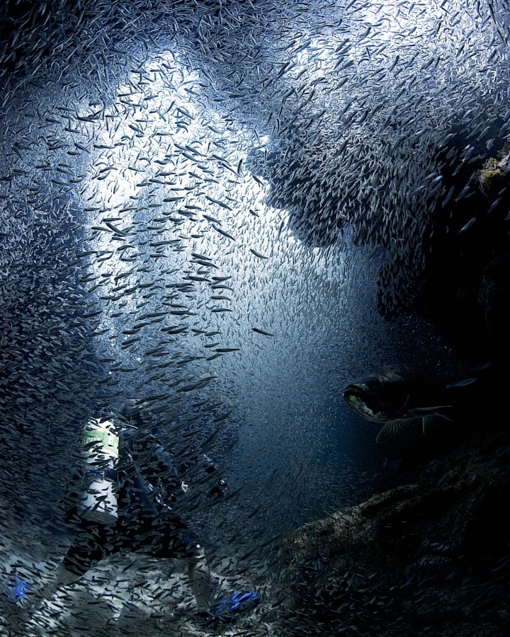 ���������