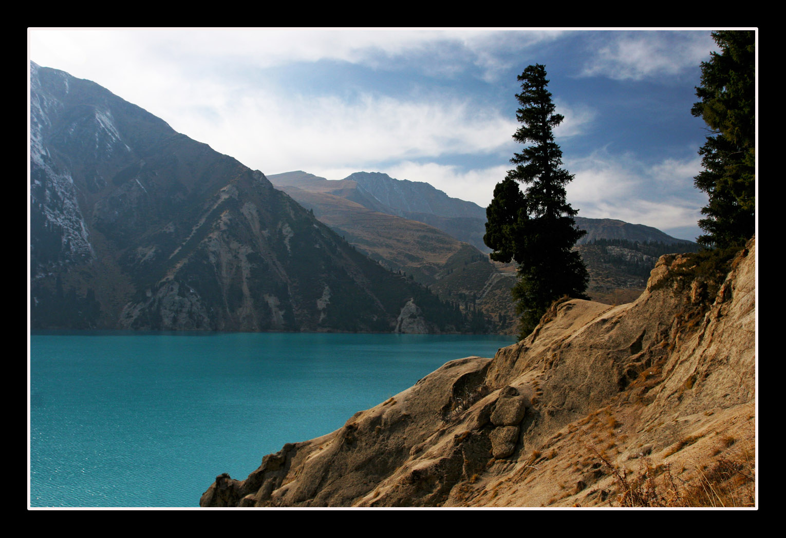 ���������