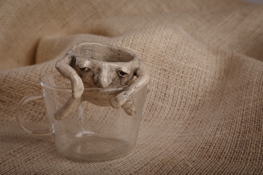 ���������