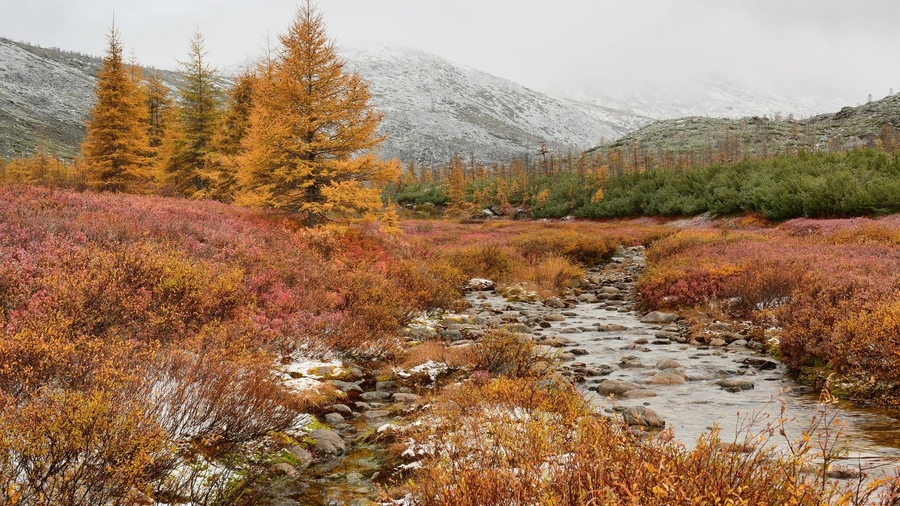 ���������