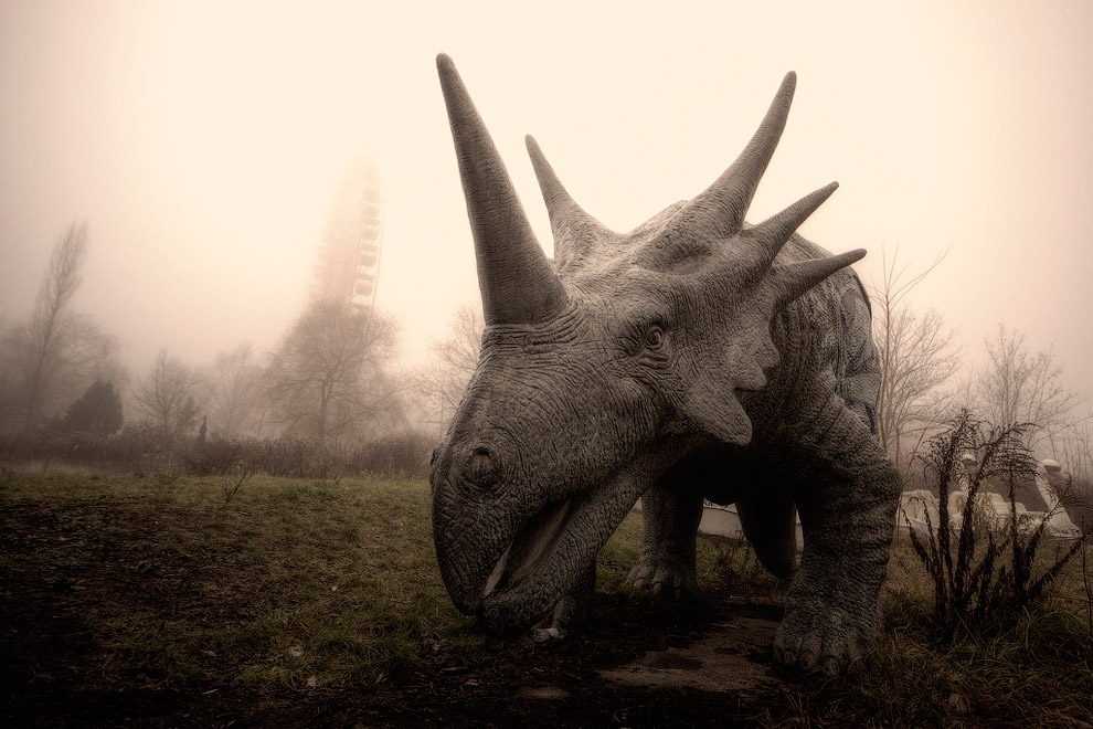 ���������