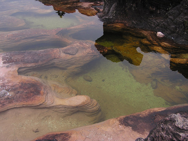 ���������