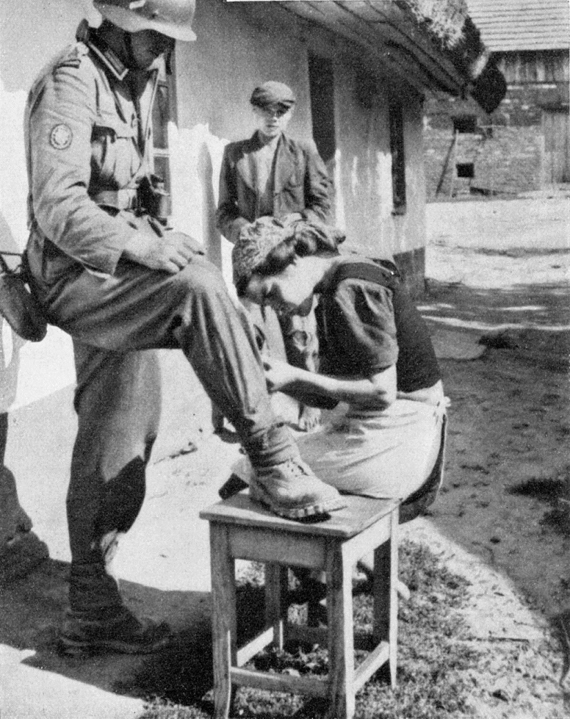 ���������