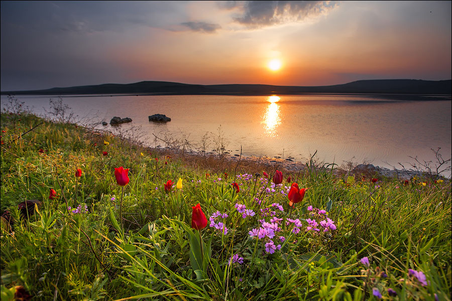 ���������