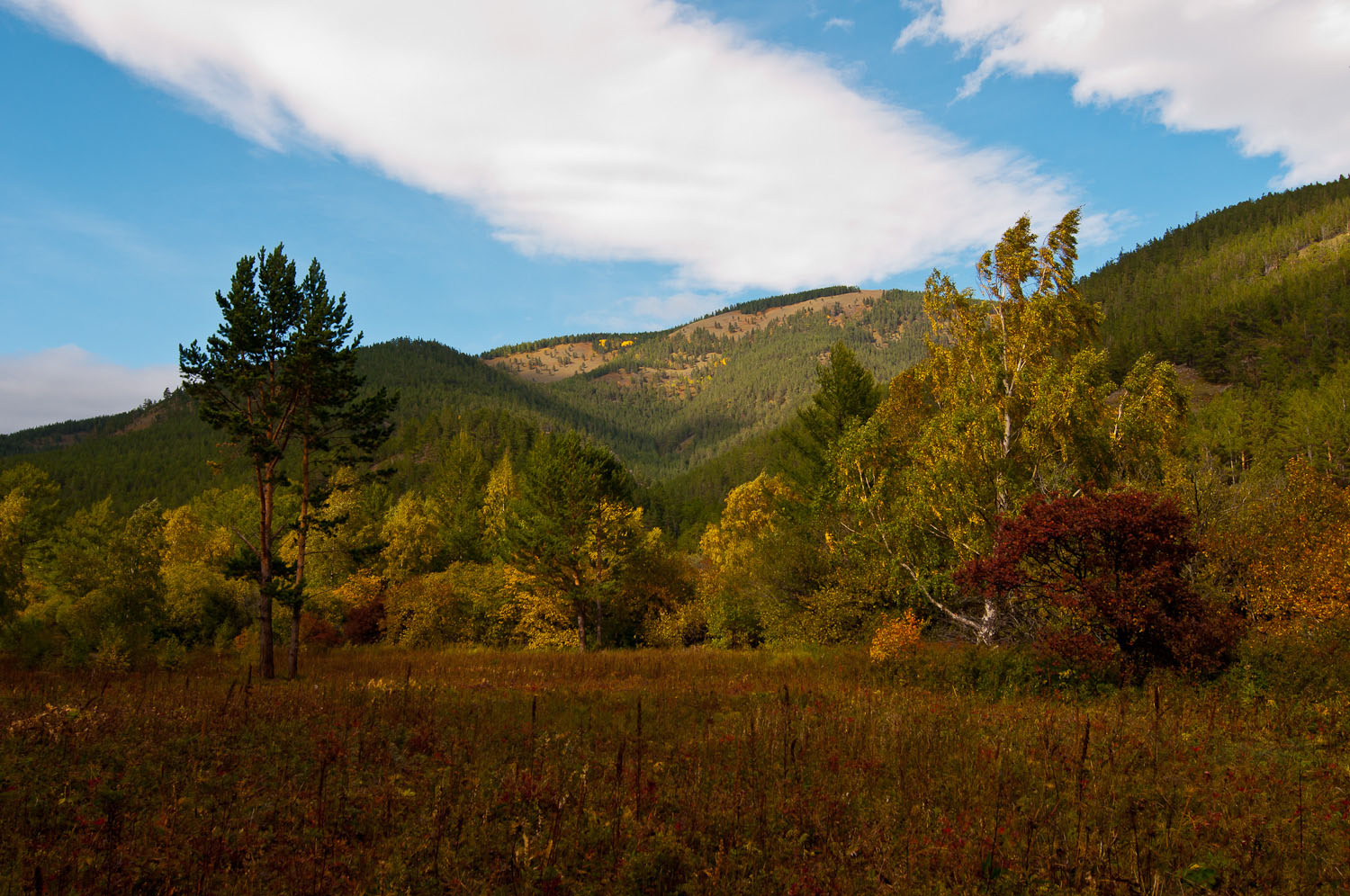 ���������