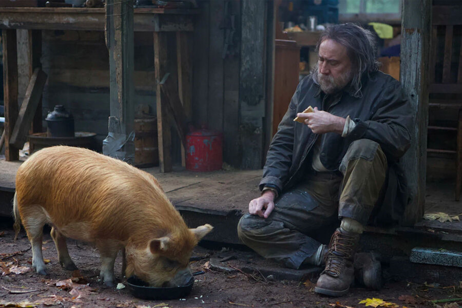 ���������