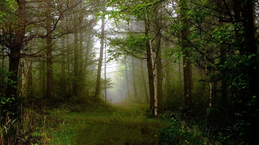 ���������