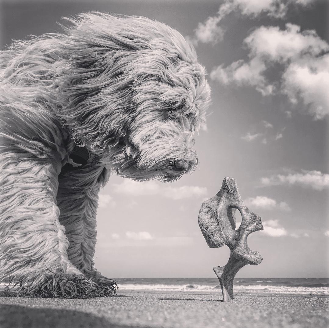 ���������