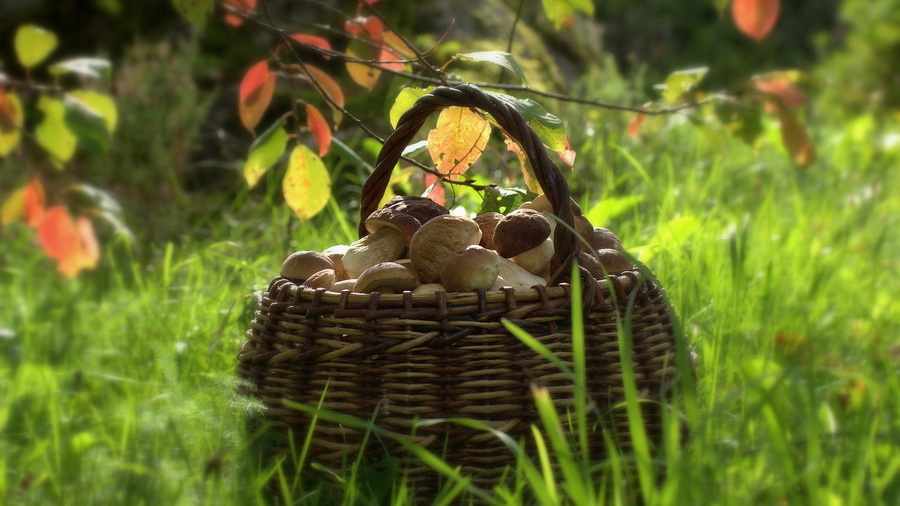 ���������