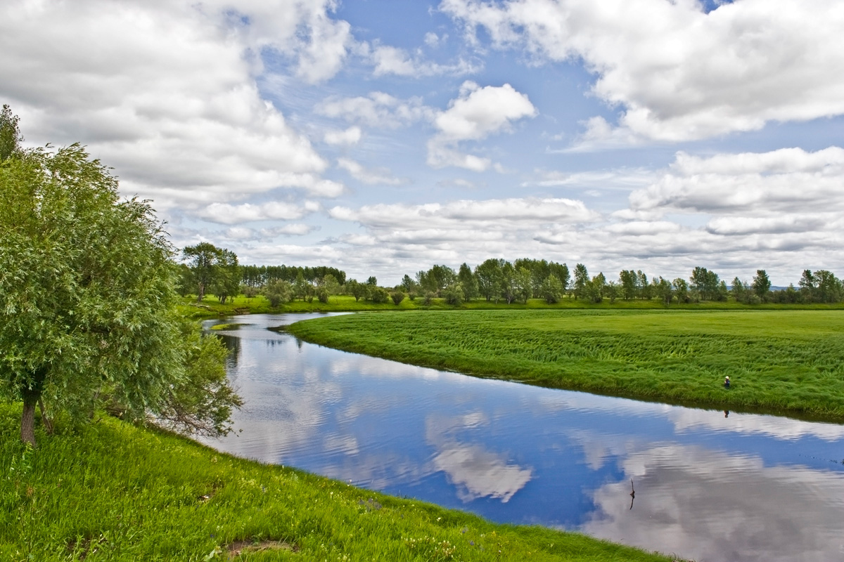 ���������