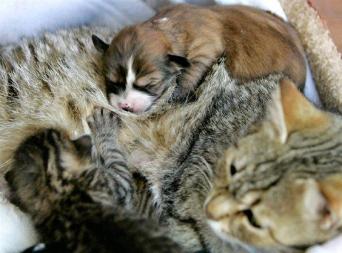 ���������