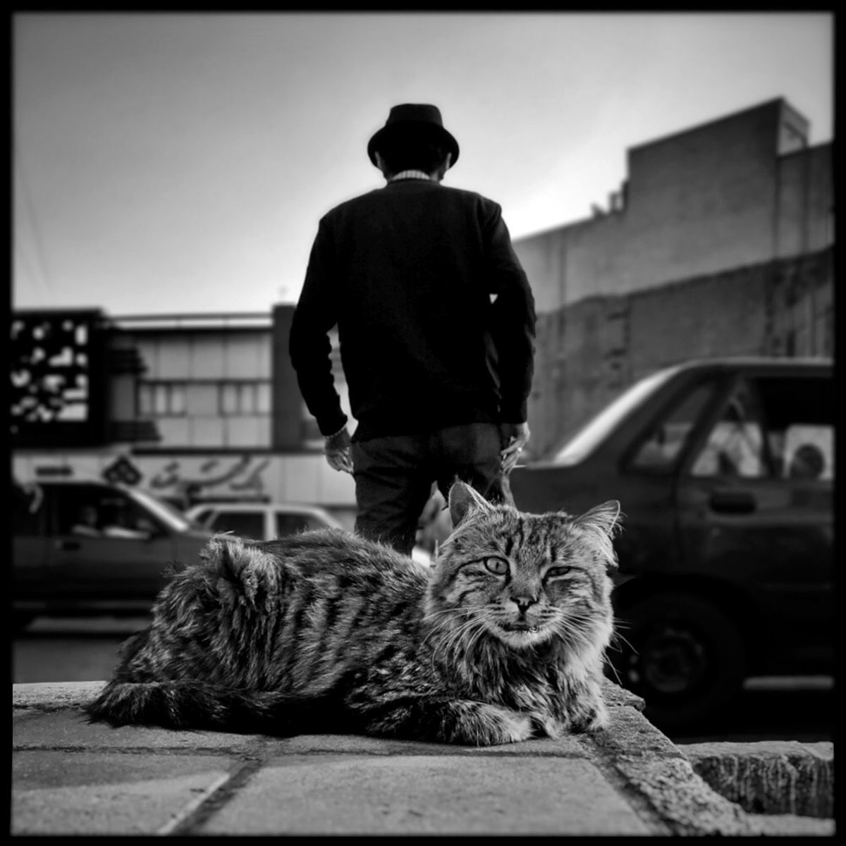 ���������