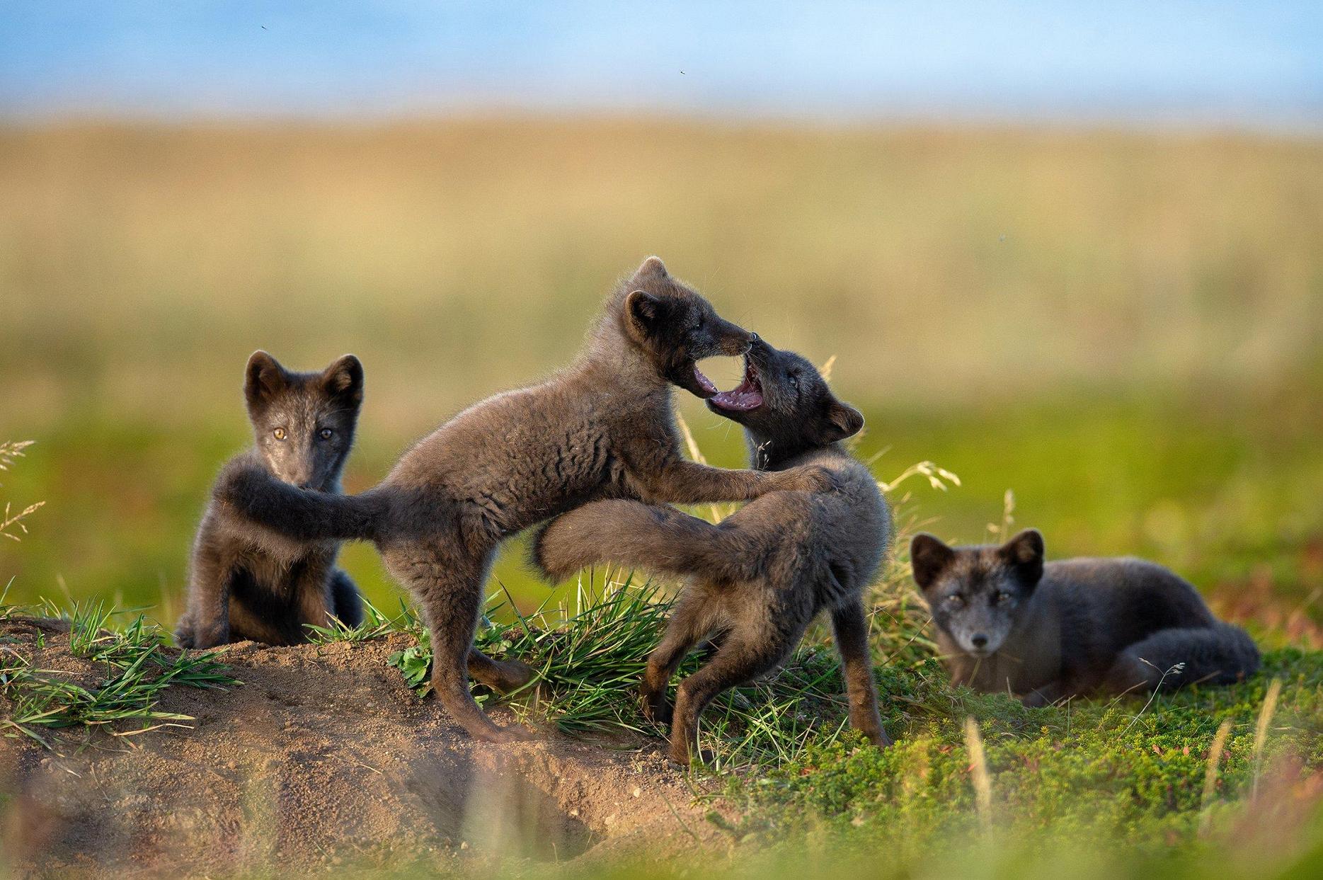 ���������