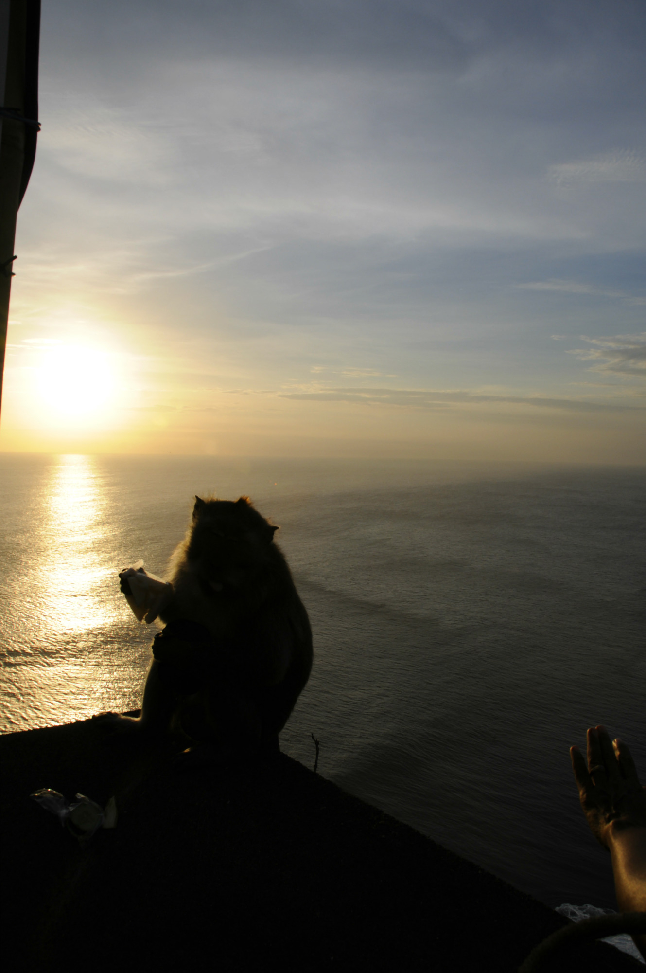 ���������