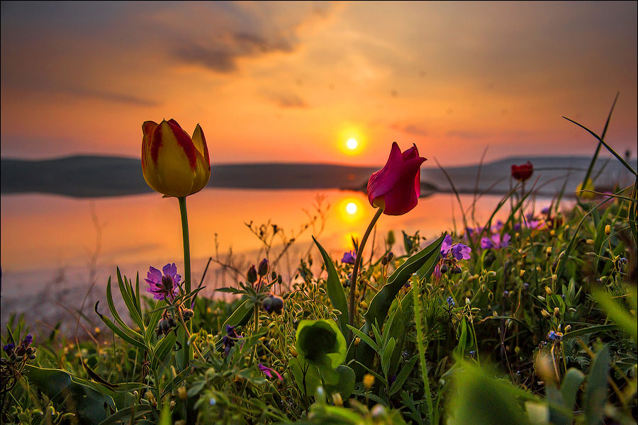 ���������