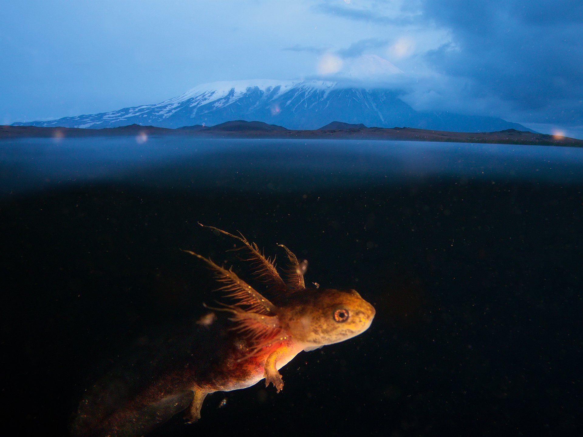 ���������