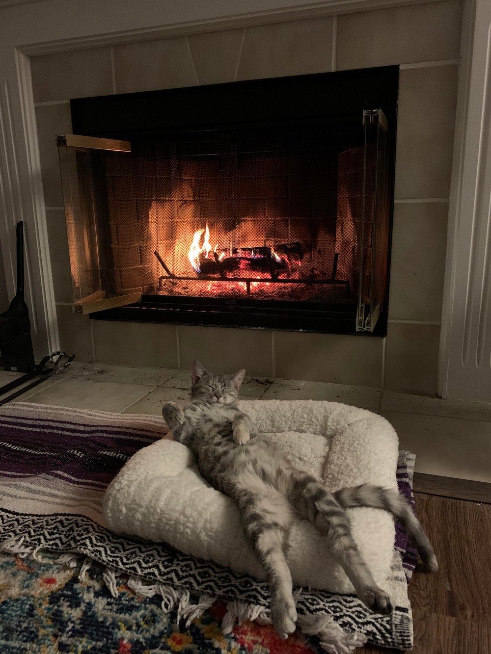 ���������