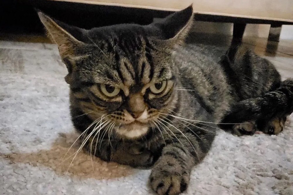 ���������