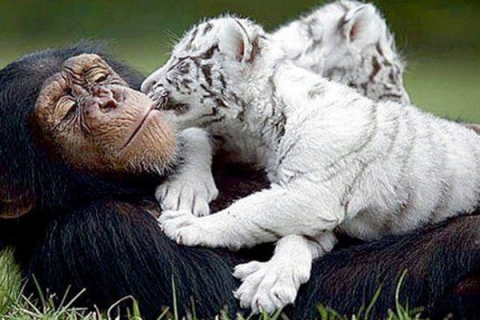 ���������