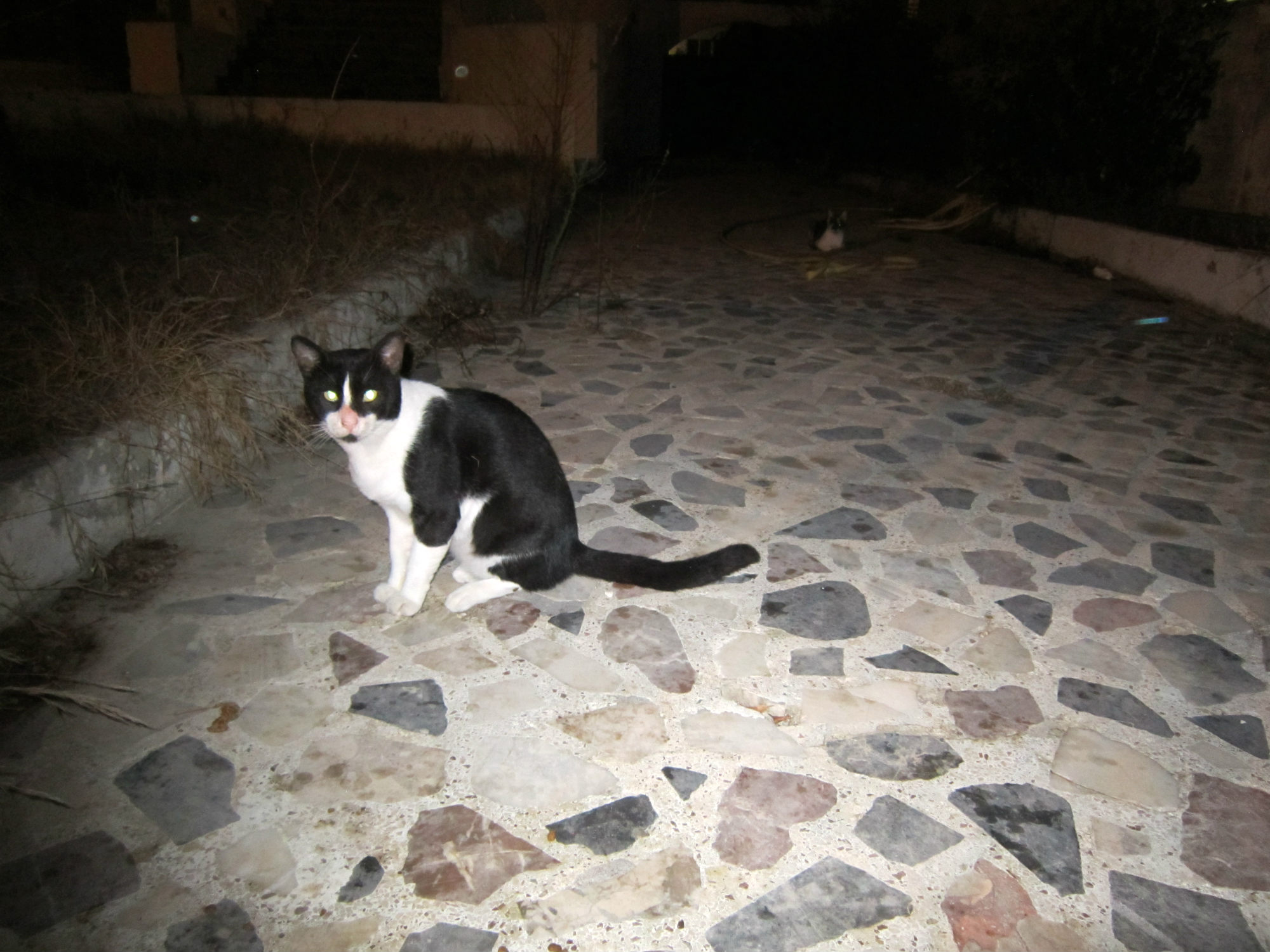 ���������