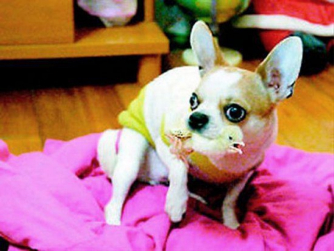 ���������